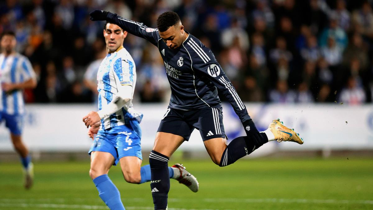 Kylian Mbappé entre Cameroun et Algérie : Une Révélation Qui Ne Bouleverse Pas les Cotes Actuelles