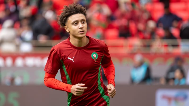 Polémique des 'Likes' : Les Lions de l'Atlas s'excusent et réaffirment leur amour pour le Maroc