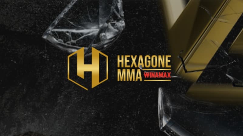 Hexagone MMA 17 : Novenyi vs Giordanengo – Chaîne, Heure et Analyse du Choc