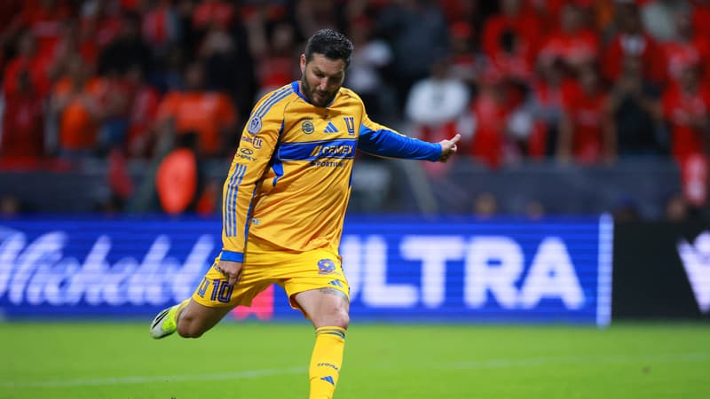 Adieu Gignac : Quel Impact sur les Cotes des Tigres après sa Retraite Stratégique ?
