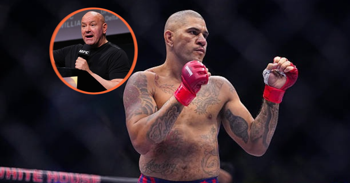 Faut-il parier sur Alex Pereira après le clash Dana White ? Les cotes s'emballent