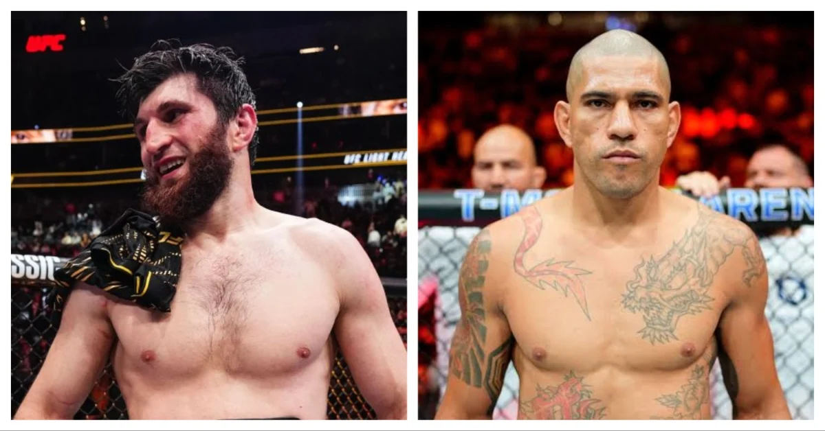 Ankalaev vs. Pereira : L'Échange Venimeux qui Prélude à un Choc pour le Titre Light Heavyweight
