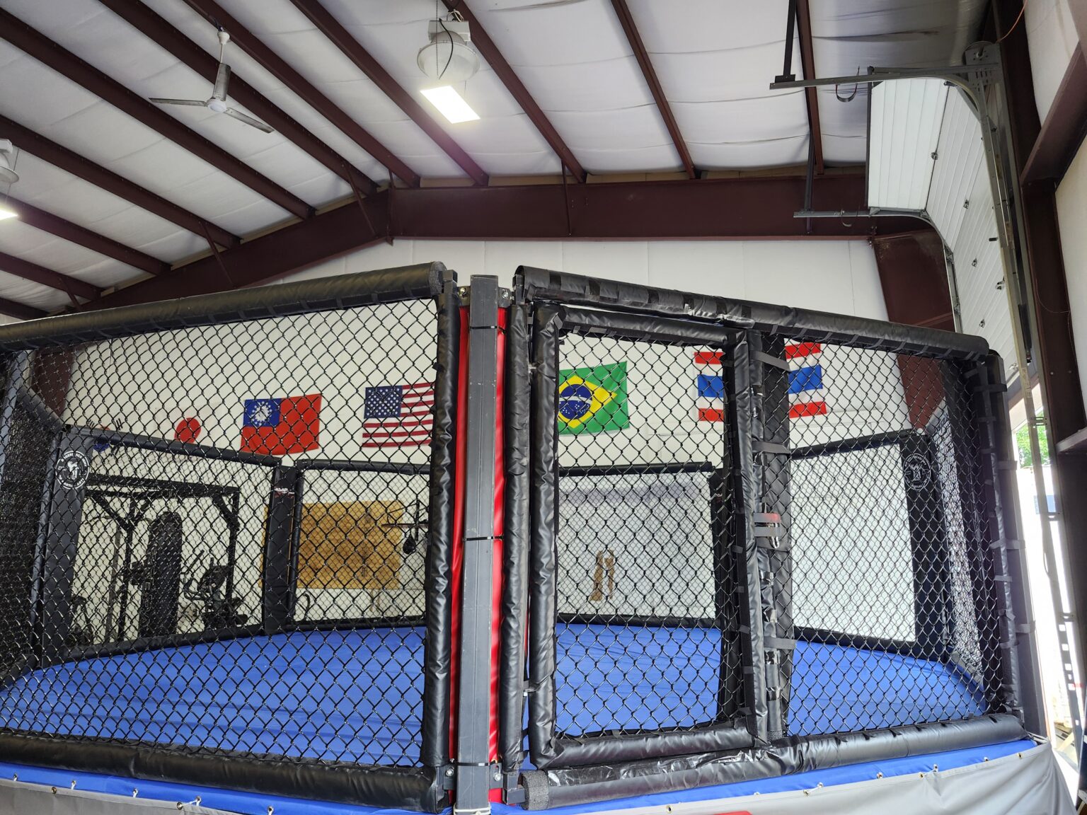 ASAP Fight Promotions : La Forge des Futurs Champions MMA et l'Avantage du Parieur