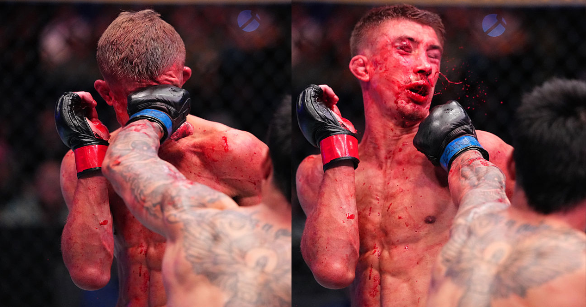 Callum Connor : Faut-il parier sur la nouvelle sensation de l'UFC ?