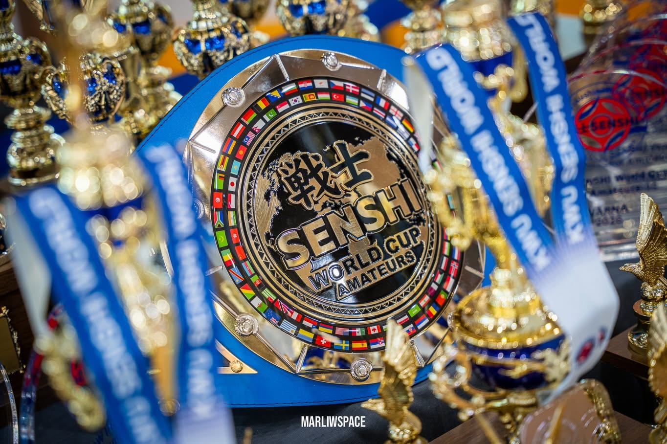 KWU SENSHI 2026 : Ces Nouveaux Champions Amateurs Qui Redéfiniront les Moneyline Futures