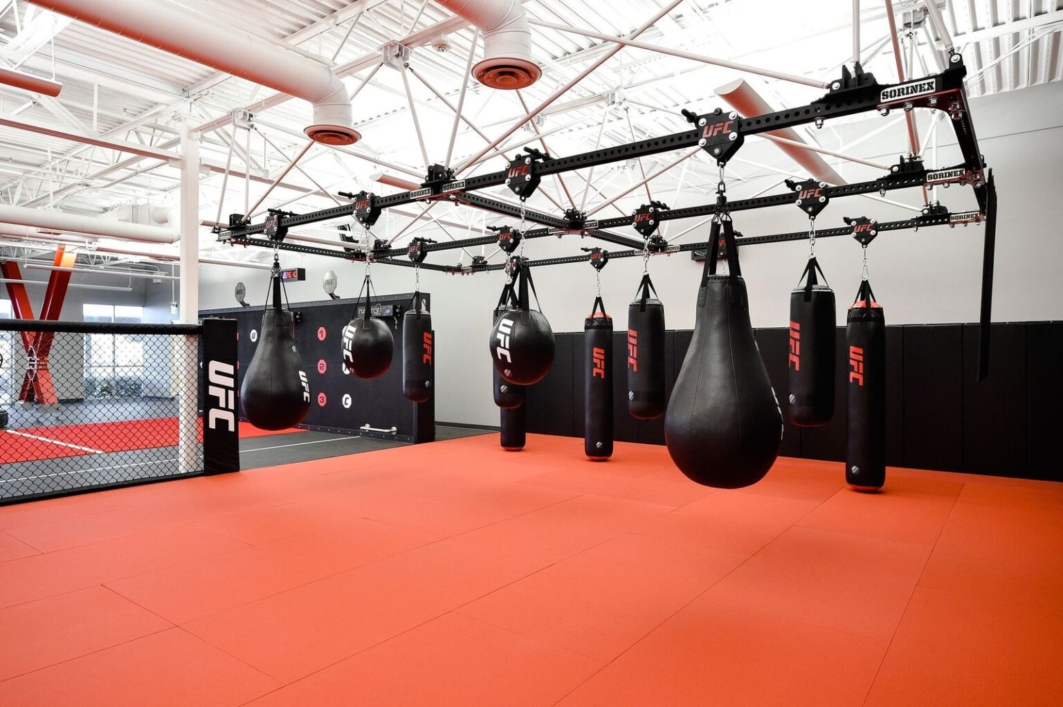La Dévotion aux Arts Martiaux : Le Facteur X des Champions en MMA et Votre Stratégie de Pari