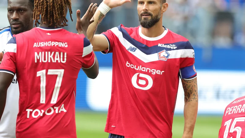 Lille face à Everton : Le Dernier Test Crucial Avant la Ligue 1 et l'Impact sur les Cotes des Dogues