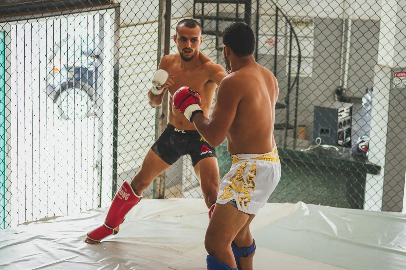 Mike Salazar : L'Ascension Non-Linéaire, un Facteur Clé pour Vos Paris MMA ?