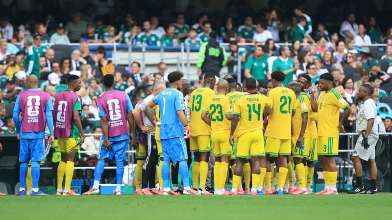 Mondial 2026: La Vague Rose des Crampons – Quel Impact Psychologique sur les Cotes ?