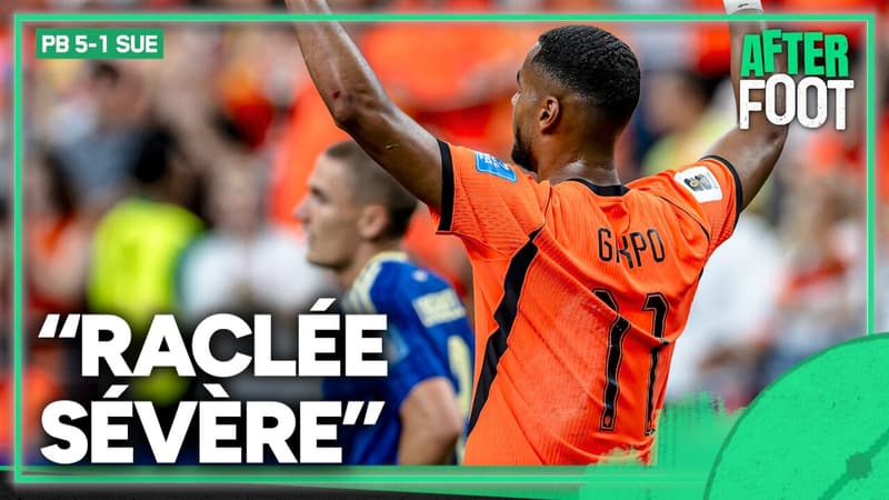 Mondial : La Suède Humiliée 5-1 par les Pays-Bas – Analyse et Pronostics Post-Déroute