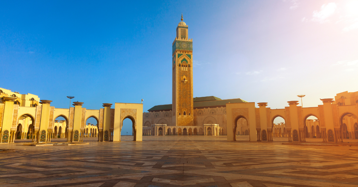 PFL Africa Débarque à Casablanca : L'Impact Stratégique sur les Cotes des Combattants Locaux