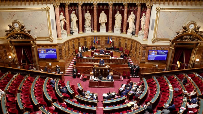 Révolution Financière en Ligue 1 : Le Parlement Adopte la Réforme Clé pour l'Avenir du Football Français