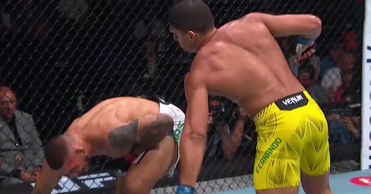 UFC 330 : Lucas Fernando, le nouveau prédateur de l'Octogone – Analyse d'Impact sur les Cotes !