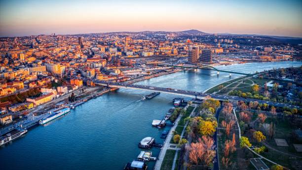 UFC Belgrade : L'Avantage du Terrain pour les Débutants Serbes, Opportunités de Paris Explosives ?