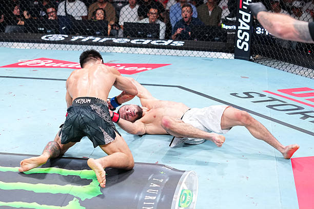 Value Bet MMA : Quand le Fandom Moderne Sous-Estime les Underdogs