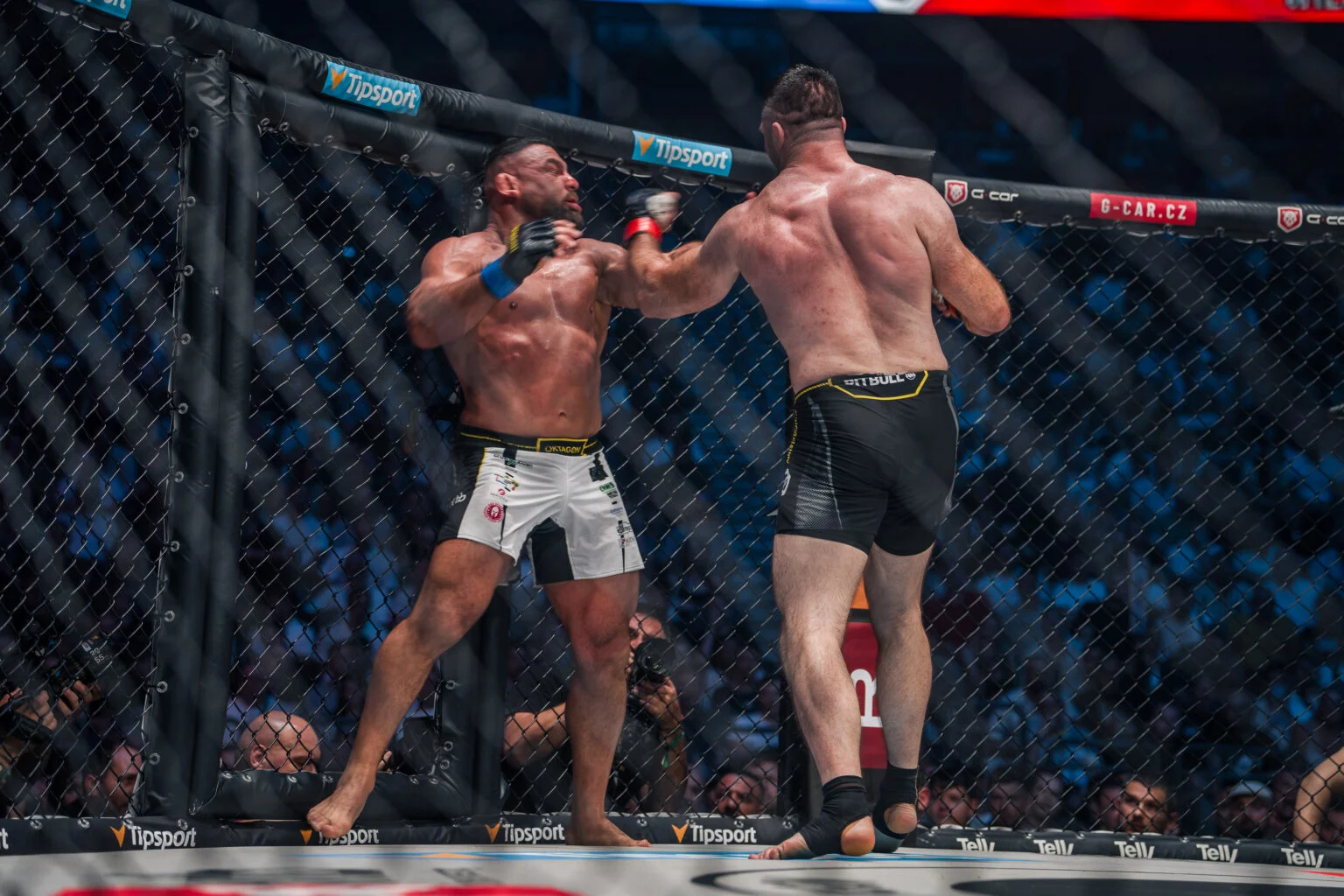 Will Fleury surclasse l'Oktagon : Un KO Éclair qui Redéfinit les Cotes MMA